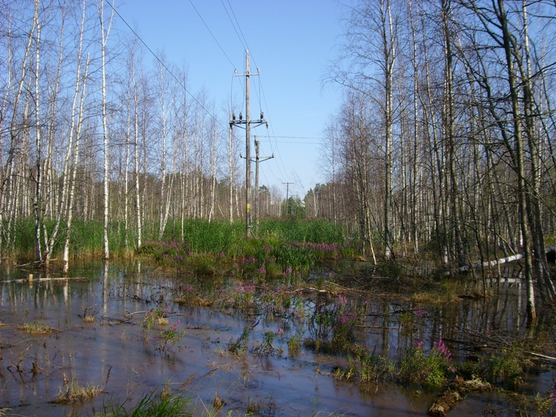 Copy of SL700018.JPG